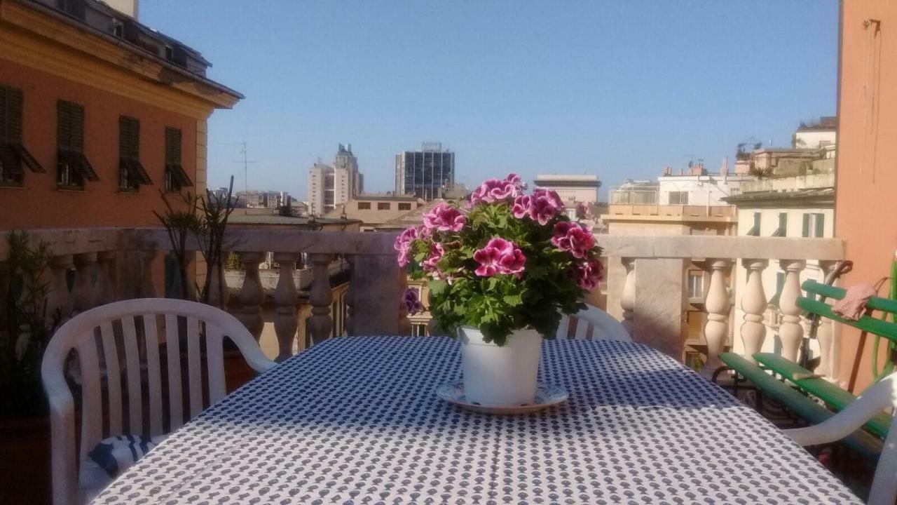 Apartment The Terrace, My Place *
